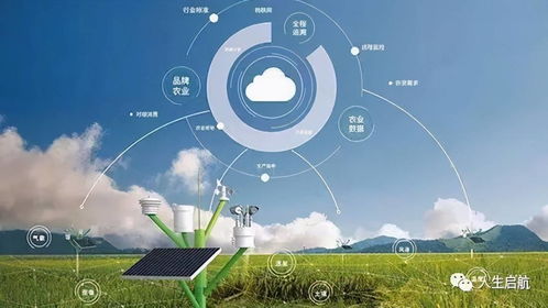 網(wǎng)絡(luò)技術(shù)開(kāi)發(fā)專業(yè)就業(yè)前景盤點(diǎn) 揭秘未來(lái)職業(yè)發(fā)展方向